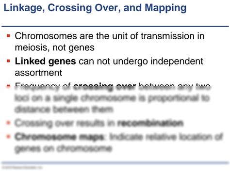 Solution Presentation Genetics Chromosome Mapping In Eukaryotes