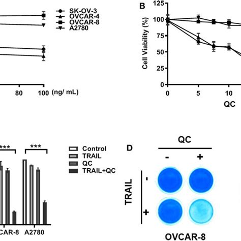 In Vitro Synergistic Anti Cancer Effect Of Quinacrine In Combination