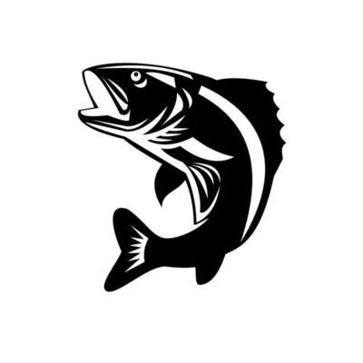 Walleye Vector Art, Icons, and Graphics for Free Download