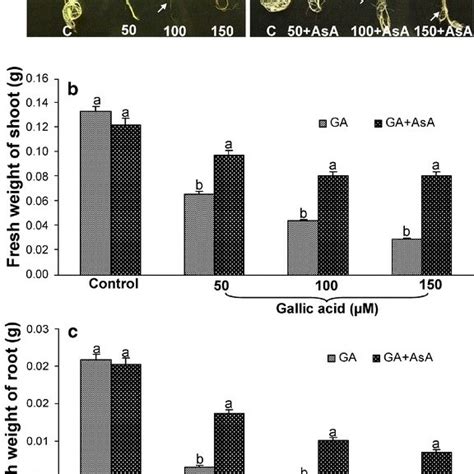 Role Of Asa 500 μm In The Recovery Of A Thaliana Seedlings From Download Scientific Diagram