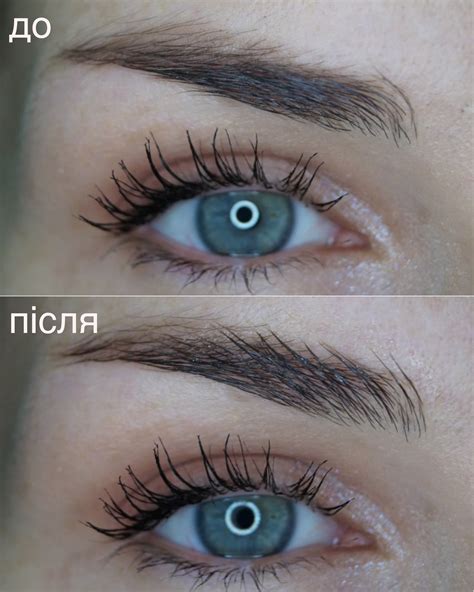 Фіксуючий гель для брів Eveline Cosmetics Brow & Go Fixing Eyebrow ...