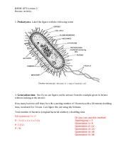 Biom Review Activity Docx Biom Lecture Review Activity