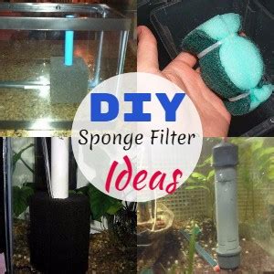 10 DIY Sponge Filter Ideas For Aquariums - DIYnCrafty