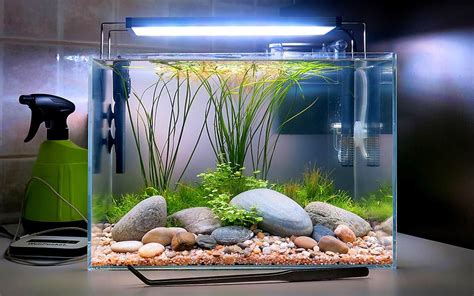 An Aquarium Filled With Rocks And Plants On Top Of A Counter Next To A