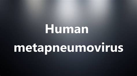 Human Metapneumovirus Medical Definition And Pronunciation Youtube