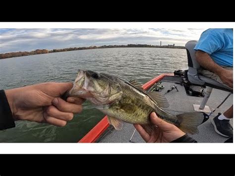 First fishing video/bass fishing – Bass Manager | The Best Bass Fishing Page On The Internet