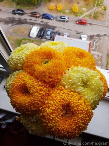 Ha Gram Leaked Nude OnlyFans ShemaleLeaks