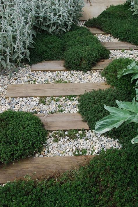 Couvre Sols Persistants Qu Il Faut Avoir Dans Son Jardin