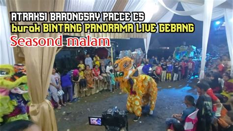 Goyang Oplosan Atraksi Barongsay Burok BINTANG PANORAMA Live Gebang