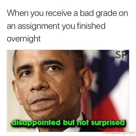 42 Superb Student Memes