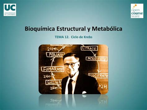 Pdf Tema Ciclo De Krebs Dokumen Tips