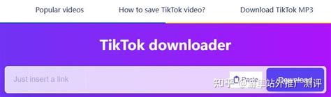 如何下载无水印的tiktok视频？ 知乎