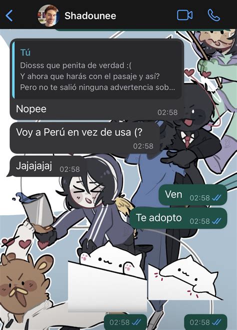 Shadoune Updates 🇵🇪 🥖 On Twitter Rt Raakkun Pensé Que Estaba