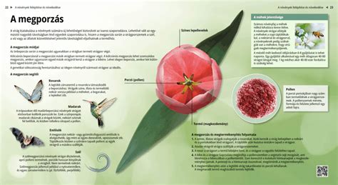 Pollination 디지털 교재 Mozaik 디지털 교육과 공부