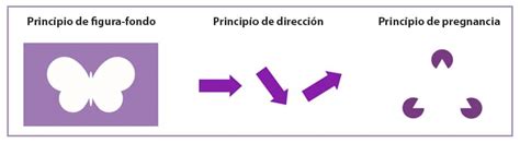 Leyes De La Gestalt Y Su Impacto En La Percepción Visual Ilerna