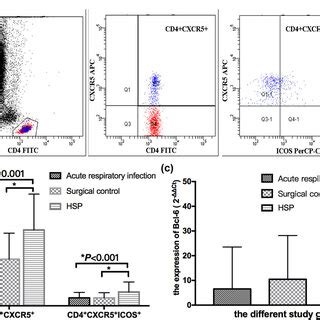 Cd Cxcr Cd Cxcr Icos Tfh Cells And Bcl Expression In The