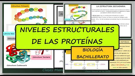 Estructura De Las Prote Nas Primaria Secundaria Terciaria Y