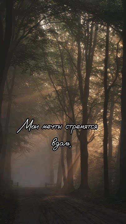 Мои мечты/ Сергей Есенин - YouTube