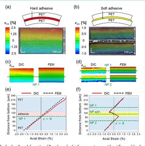 Pdf Direct Visualization Of Cross Sectional Strain Distribution In