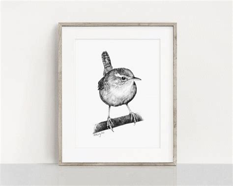 Wren Bird Art PRINT Wren Pencil Drawing Wall Art Garden Bird | Etsy