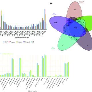 -Highly conserved genes among different clades. (A) The distribution of ... 