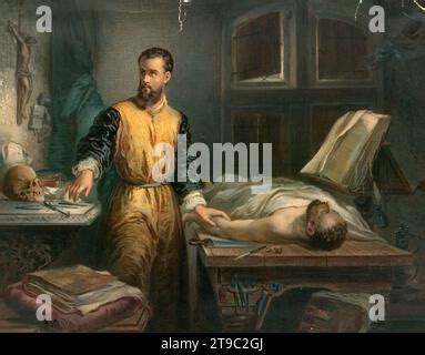 Andreas Vesalius Flemish Anatomist Stock Photo Alamy