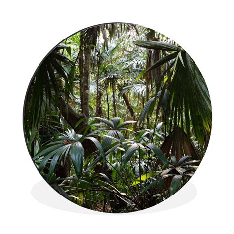 Muchowow Tableau Imprim Rond Plantes De La For T Tropicale