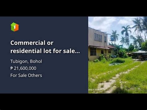 Commercial Or Residential Lot For Sale At Tubigon Bohol Sqm Net