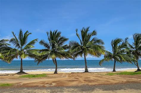 Arena Mar Ola Playa Verano El Cielo Palmeras Apuntalar Marina