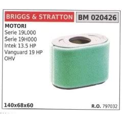 Filtre à air BRIGGS STRATTON pour tondeuse à gazon SERIES 19L000 Fi