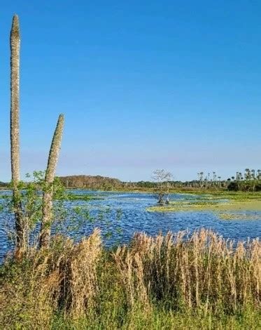 Orlando Wetlands Park - Go Wandering