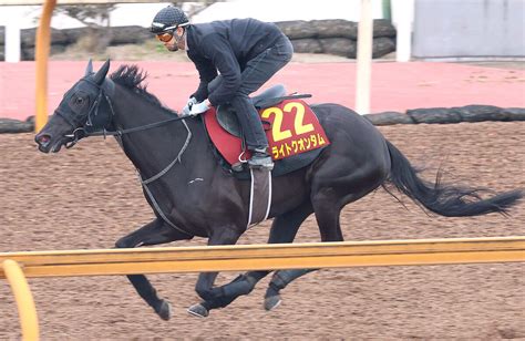 【桜花賞】ライトクオンタム、軽い内容でも「右に張る癖」修正 武豊騎手＆武幸四郎調教師の兄弟そろって成長実感 Umatoku 馬トク