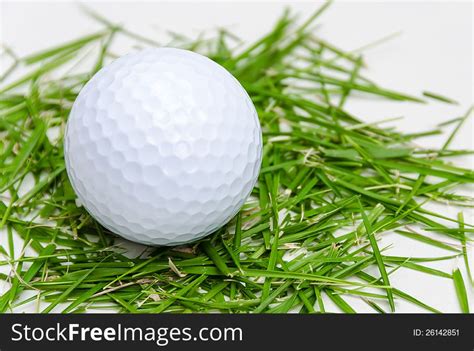 70 Golf Leaf Free Stock Photos Stockfreeimages