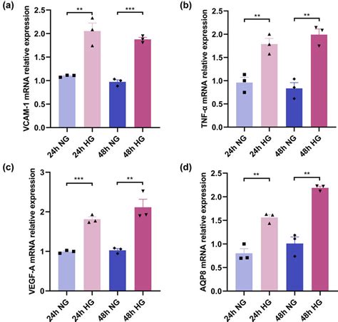 Mrna Expression Levels Of Vcam Tnf Vegf A And Aqp In Huvecs