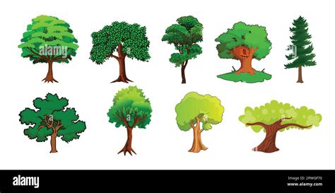 Varios árboles De Dibujos Animados Coloridos Detallados Conjunto De