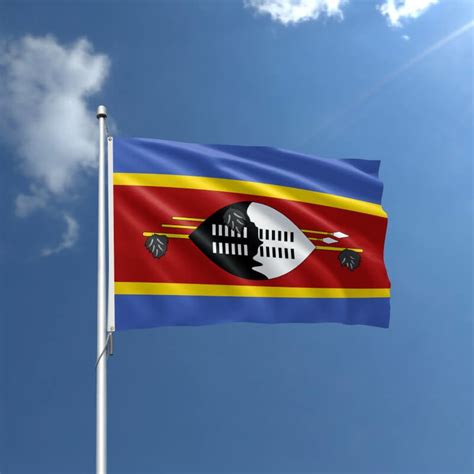 Eswatini Nylon Outdoor Flag – Action Flag