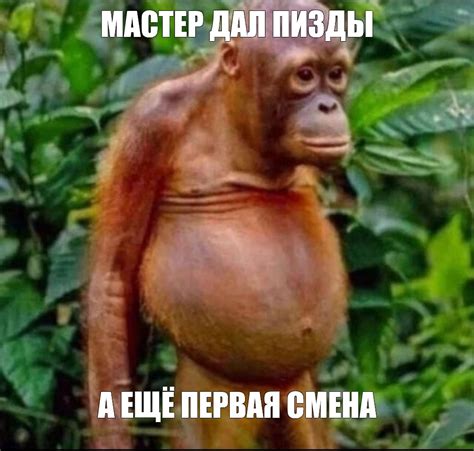 Создать мем "мемы с обезьянами, смешные животные, лысый орангутанг ...