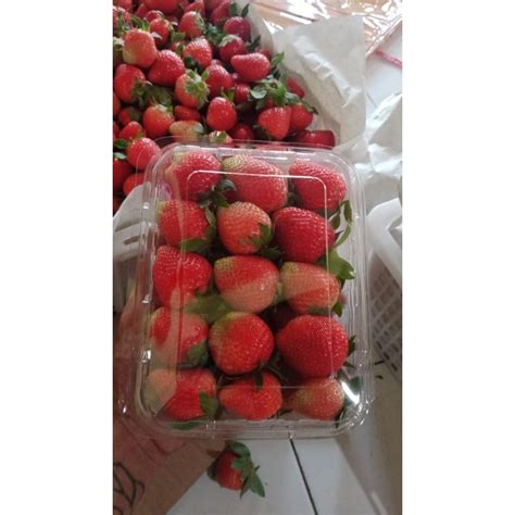 Jual Buah Strawberry Fresh Ciwidey Grade A 500gr Shopee Indonesia