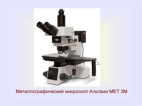Микроскоп в клинической лабораторной диагностике - презентация онлайн