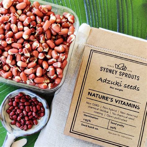 Adzuki Bean Sprouting Seeds Sydney Sprouts