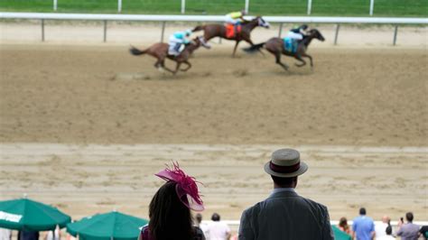 Horse Euthanized After 13th At Belmont 1 Race After Final Leg Of