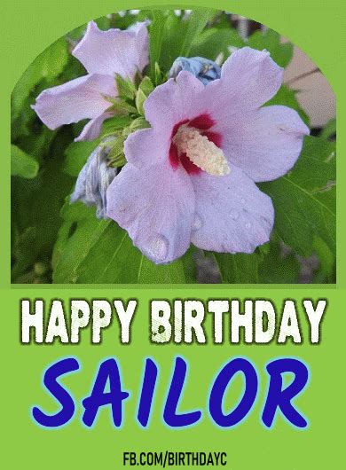 Happy Birthday Sailor Images Birthday Greeting Birthdaykim
