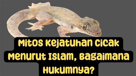 Doa Ketika Kejatuhan Cicak Pahami Hukumnya Dalam Islam Youtube