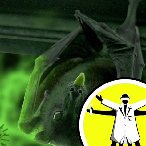 The Naked Scientists Podcast Where Did COVID Come From Podcast Episode IMDb