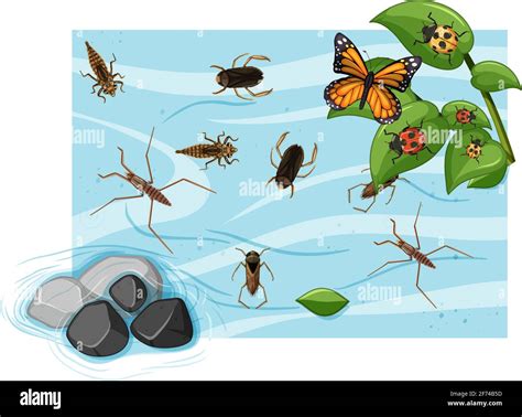 Top View Of Aquatic Insects In The Pond Illustration Stock Vector Image