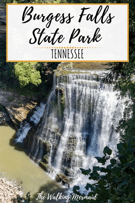 Burgess Falls State Park, Tennessee | Burgess falls state park, State ...