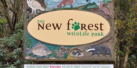 New Forest Wildlife Park How To Find Us At Ashurst Southampton