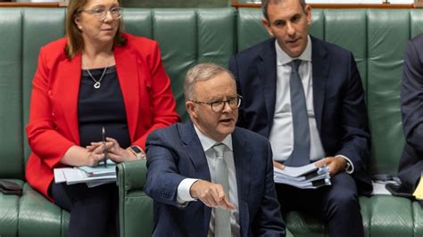 Supposed To Be Nice Prime Minister Anthony Albanese And Opposition