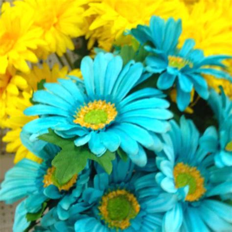 Teal And Yellow Yellow Turquoise Aqua Color Color Me Blue Yellow Yellow Daisies Yellow Art