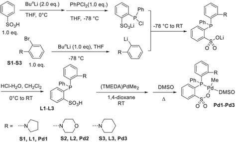 Synthesis Of The Phosphine‐sulfonate Ligands As Well As The Palladium Download Scientific